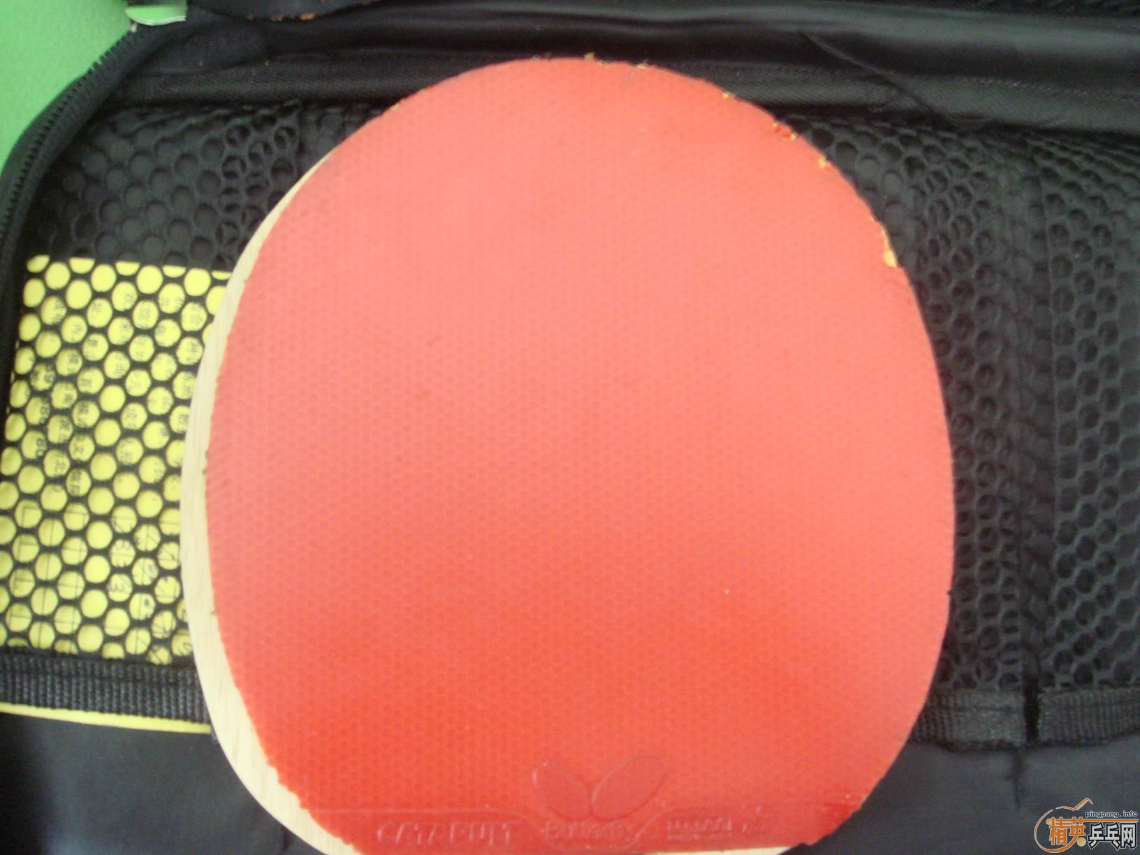 ���������׽�80����,���Գ�ֵ!