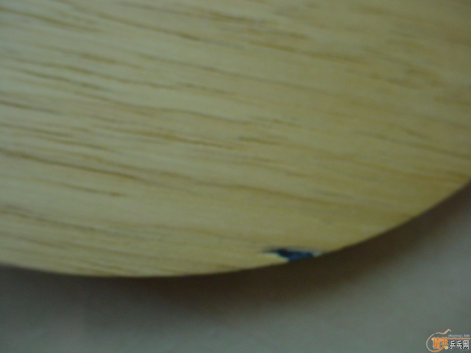 ���ѳ� �����˹ȫ��+���+SRIVER-FX ���220����