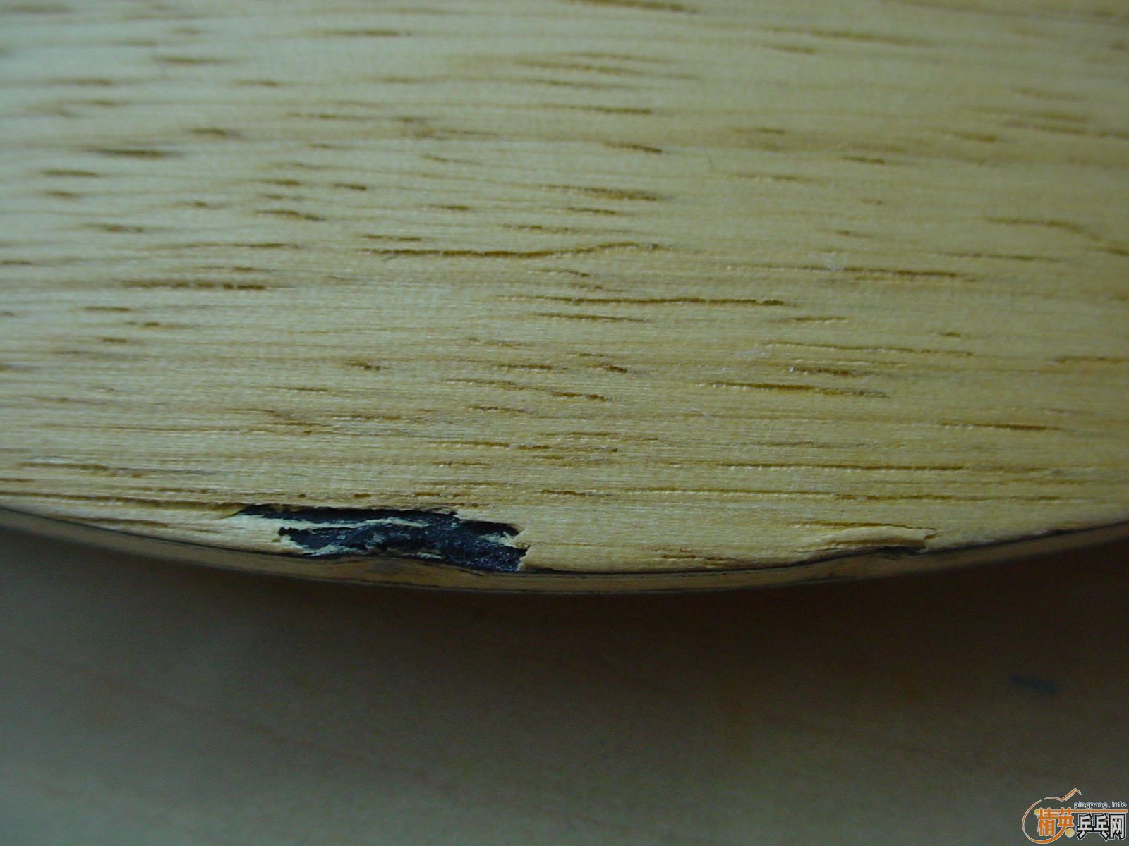 ���ѳ� �����˹ȫ��+���+SRIVER-FX ���220����