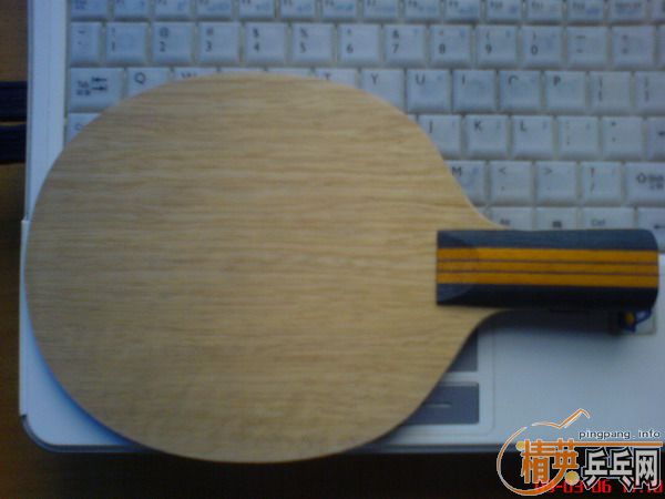 ȫ������/��98��ľ����/��һ��/