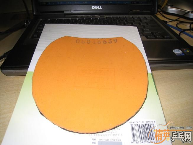 98�¹��ɵ�pro��������06ʡ��