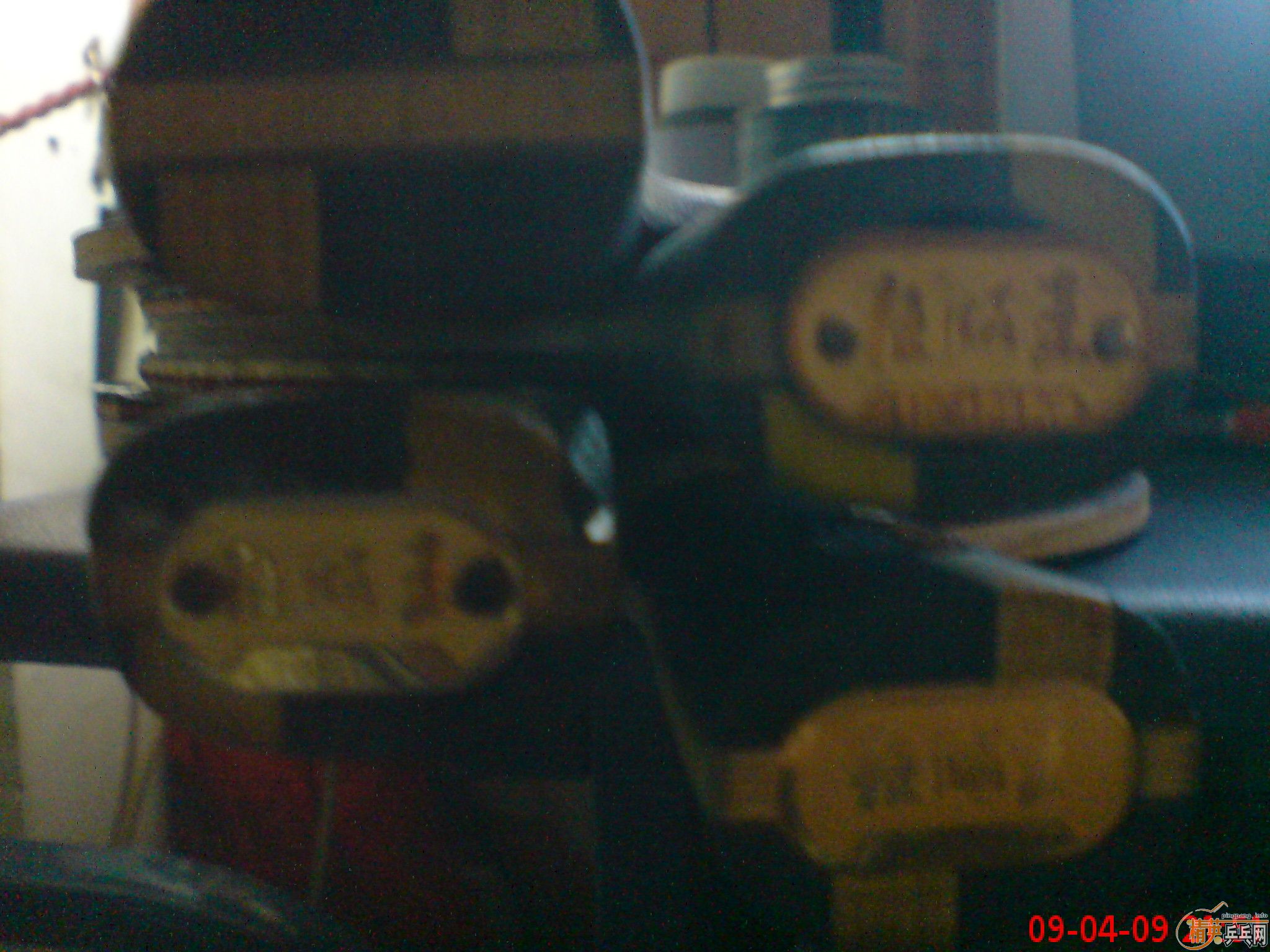 �ո�����,���ڶ�Ʒ,������ʲô�ܻ���