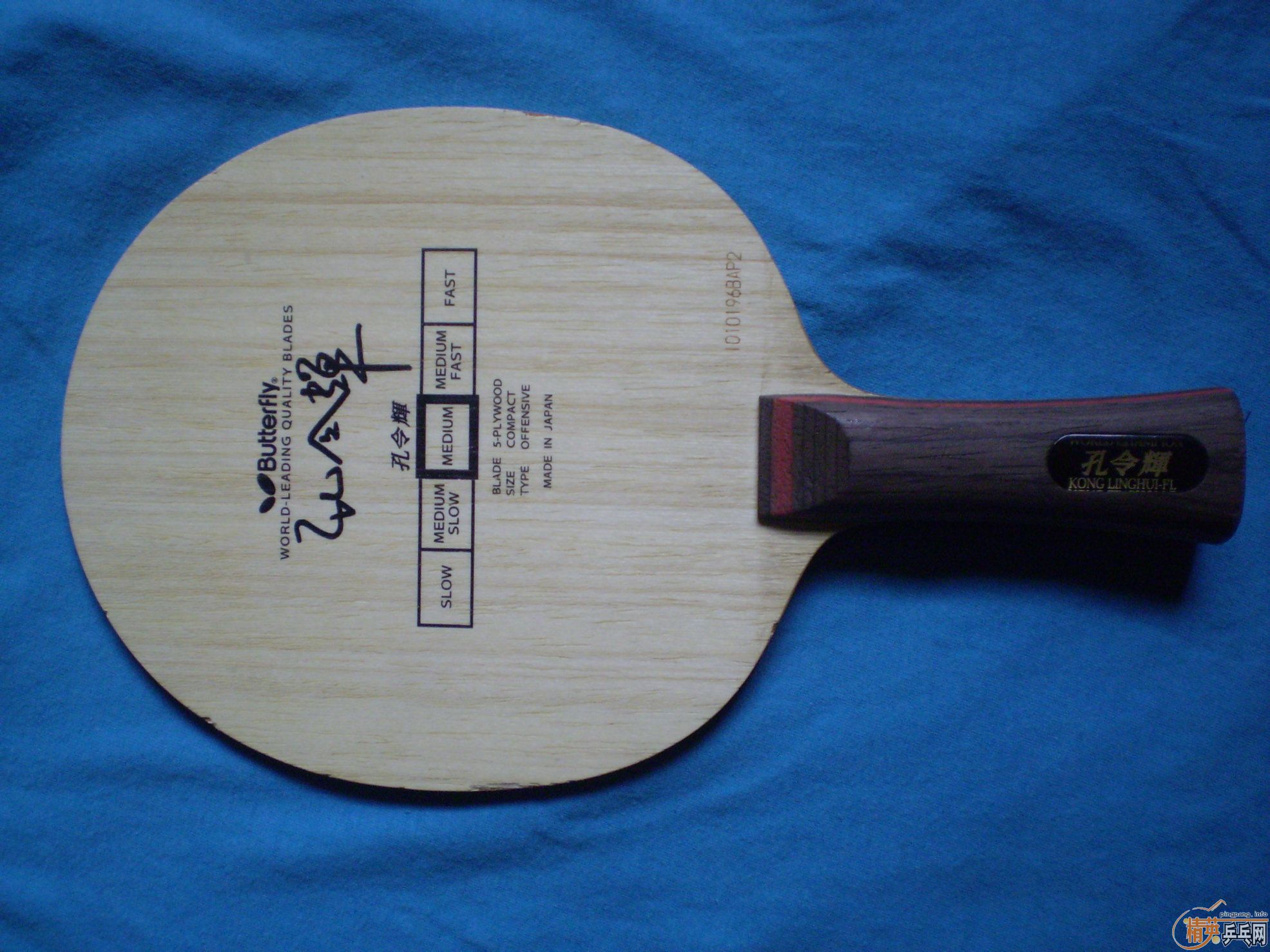 ��ľ����