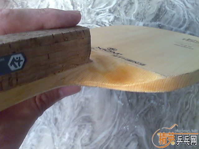 ���������׽�