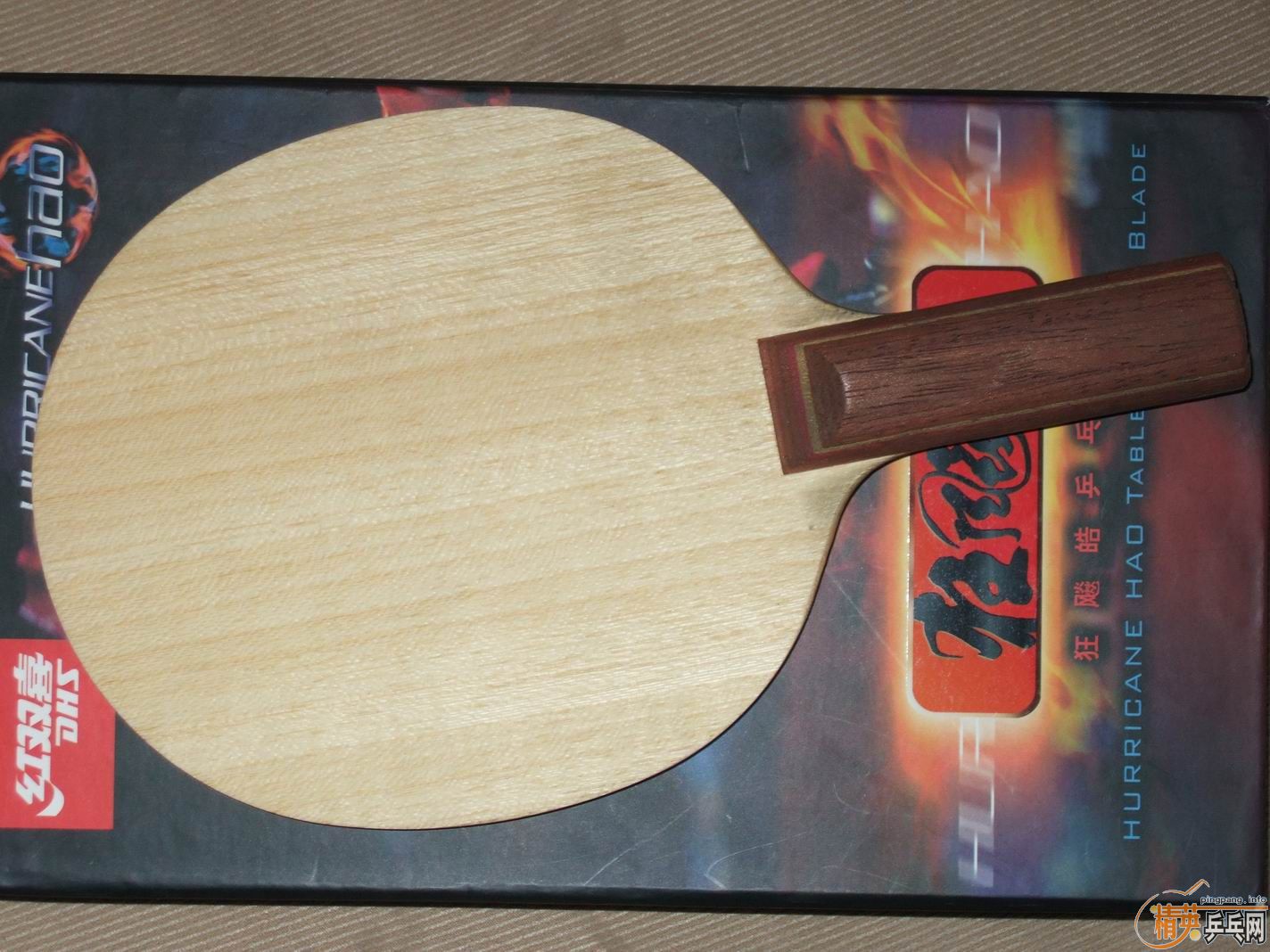 [ԭ��]���ճ��۾ų���nittaku R5 st