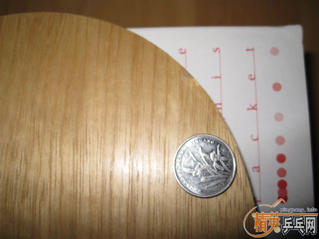 ���ѳ�Nittaku С��רҵ�� �� DONIC��̼FL