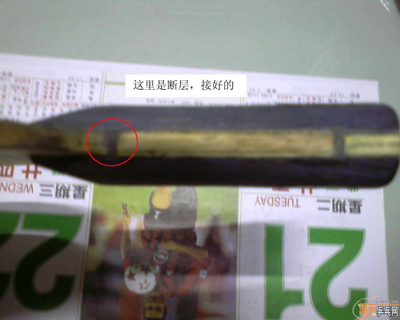 ֪ʲô𣡣-->liuzongangת