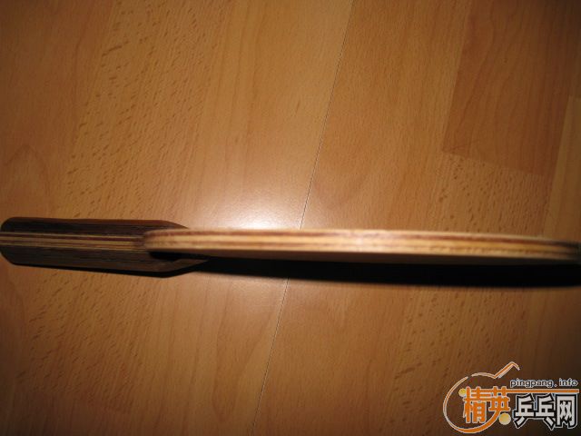 ���ѳ�Nittaku С��רҵ�� �� DONIC��̼FL