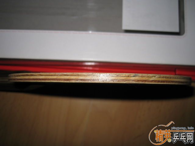 ���ѳ�Nittaku С��רҵ�� �� DONIC��̼FL