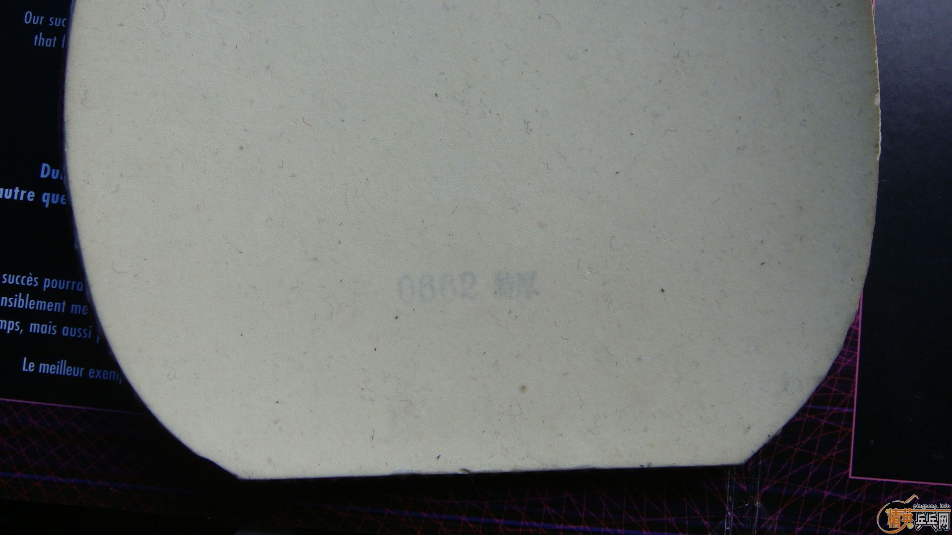 ����ɫ���İ���nodias��60��Ǯ