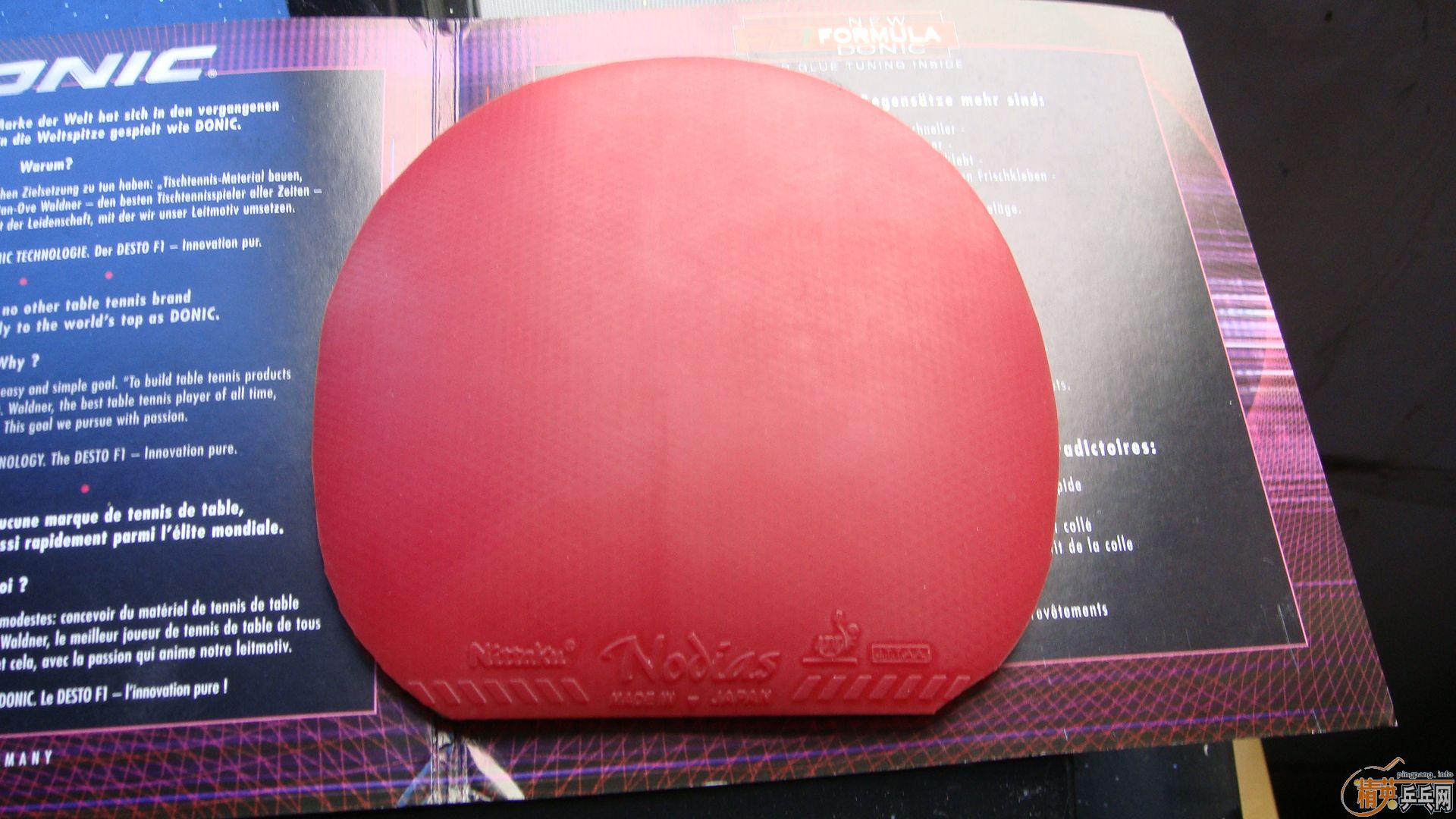 ����ɫ���İ���nodias��60��Ǯ