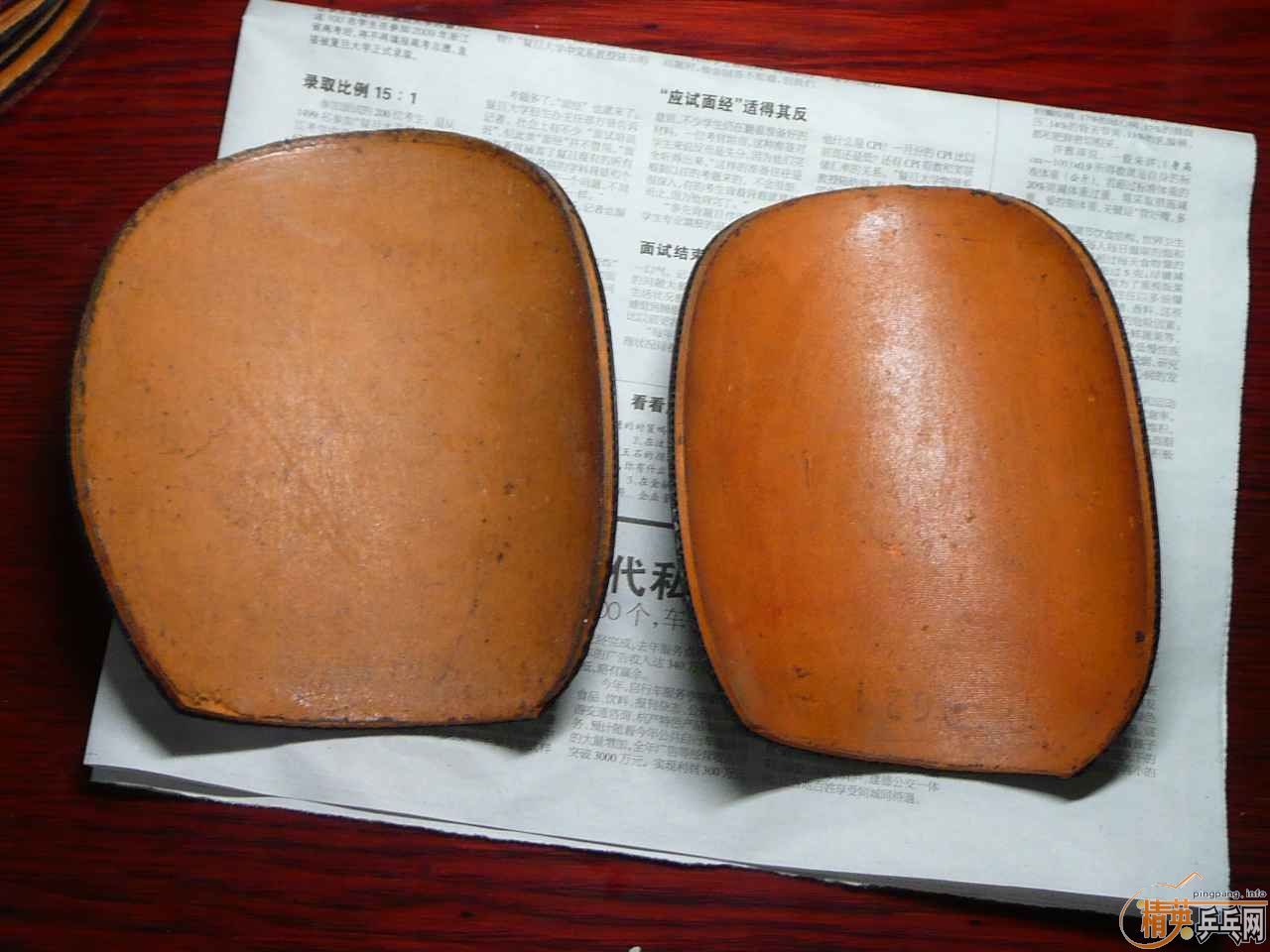 ��һЩ�׽� EL ���� ���� ������ ���������֧������