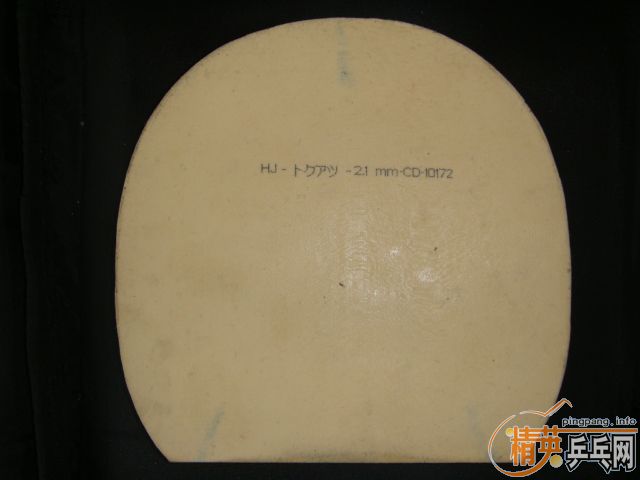 ����bryce speed fx 2.1��ͼ