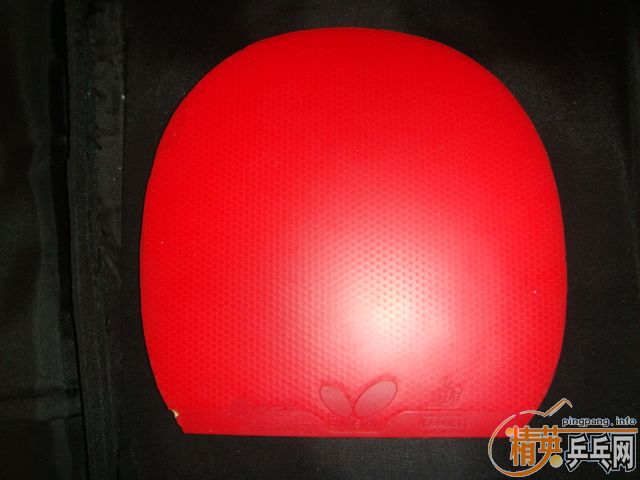 ����bryce speed fx 2.1��ͼ