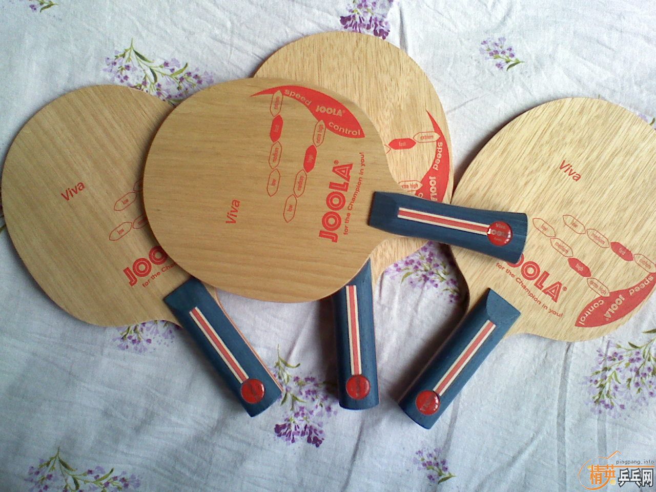 ############JOOLA  VIVA     ��˫ϲ H_������ #################