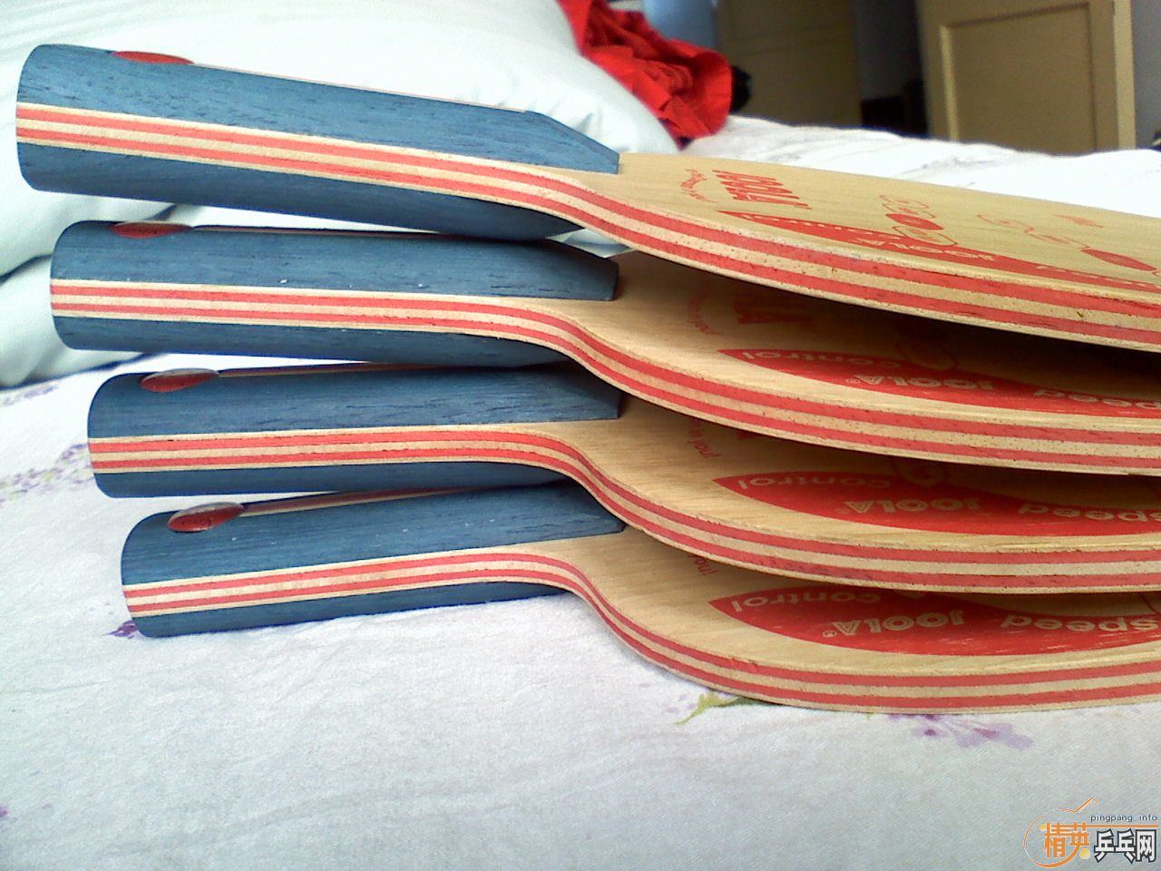 ############JOOLA  VIVA     ��˫ϲ H_������ #################