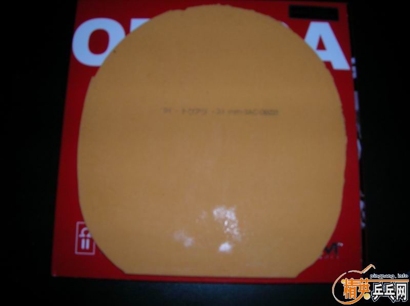 ��������G3����T50