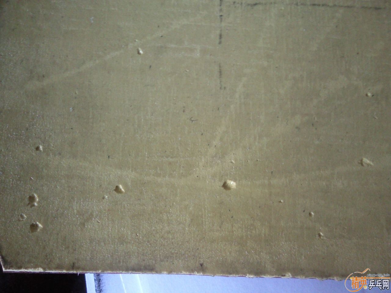 ��ͦ��SINUS ALPHA