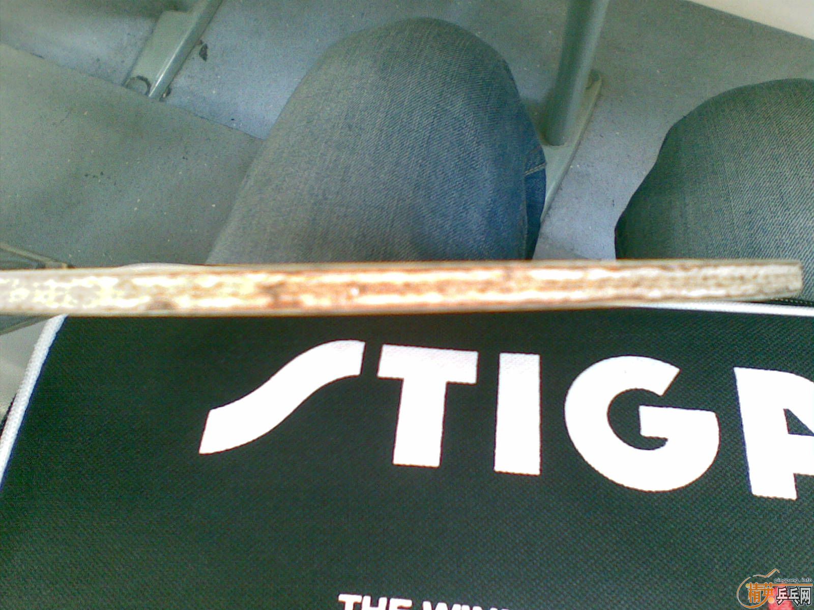 ׼����yasaka17��,�հ��,255����