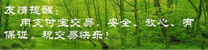 [���ֱؿ�]��Զ��ֽ��׵��������ѡ������޶��桷��