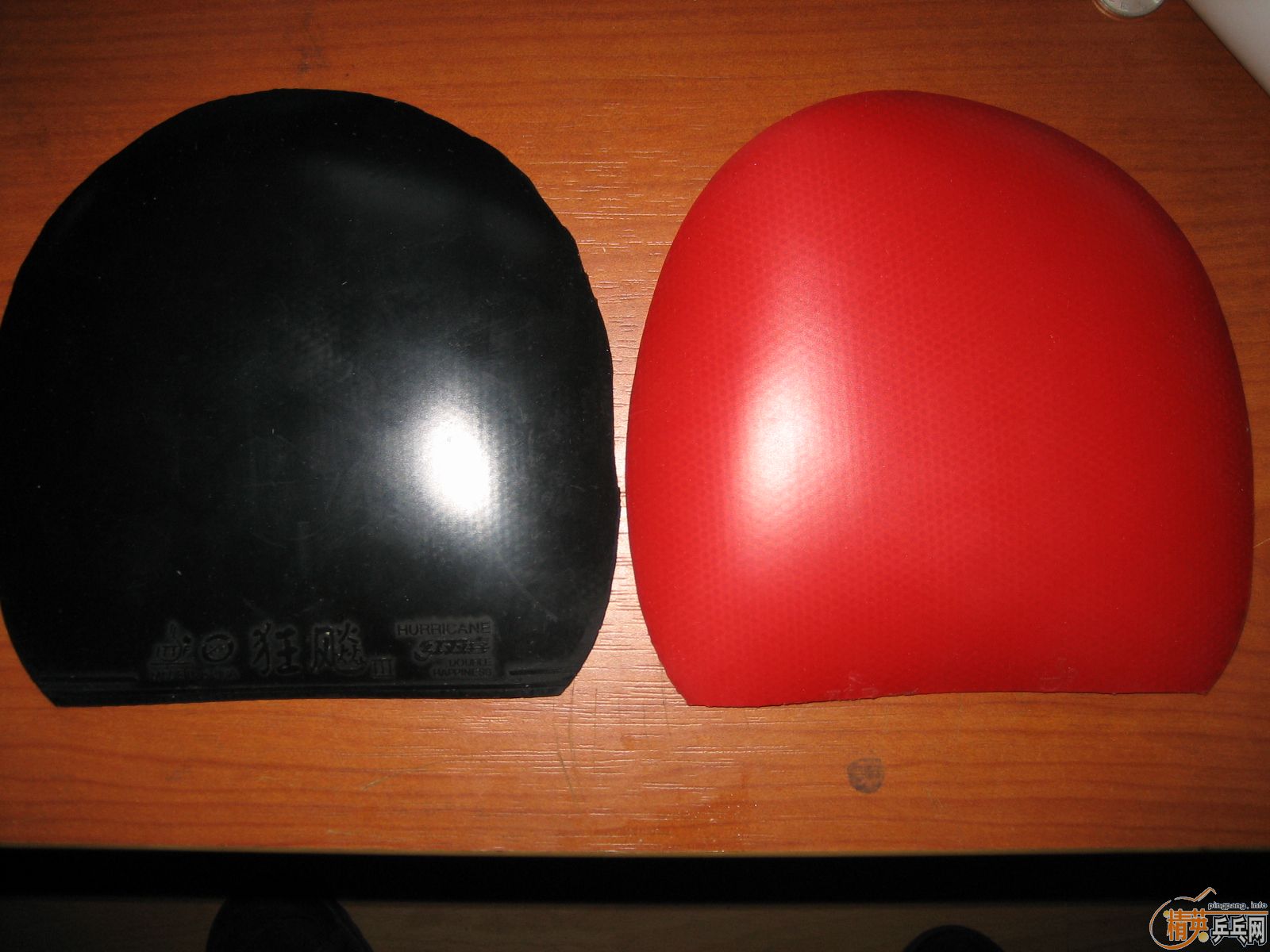 ֧����300�����74��ֱ����˹+ʡ��+zap