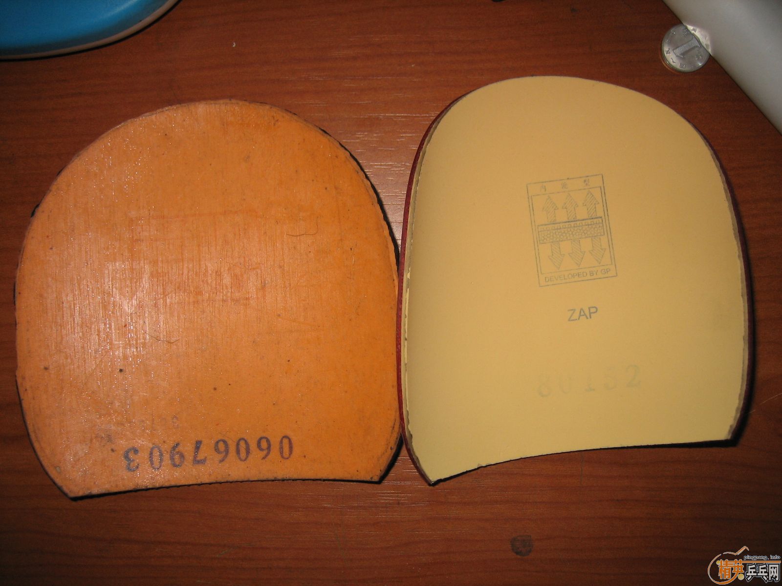 ֧����300�����74��ֱ����˹+ʡ��+zap