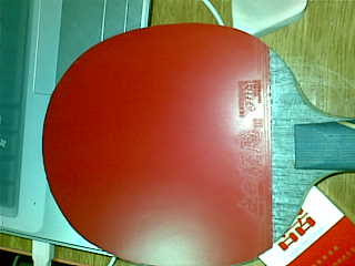 �ѳ����᲻��ƹ�ң�