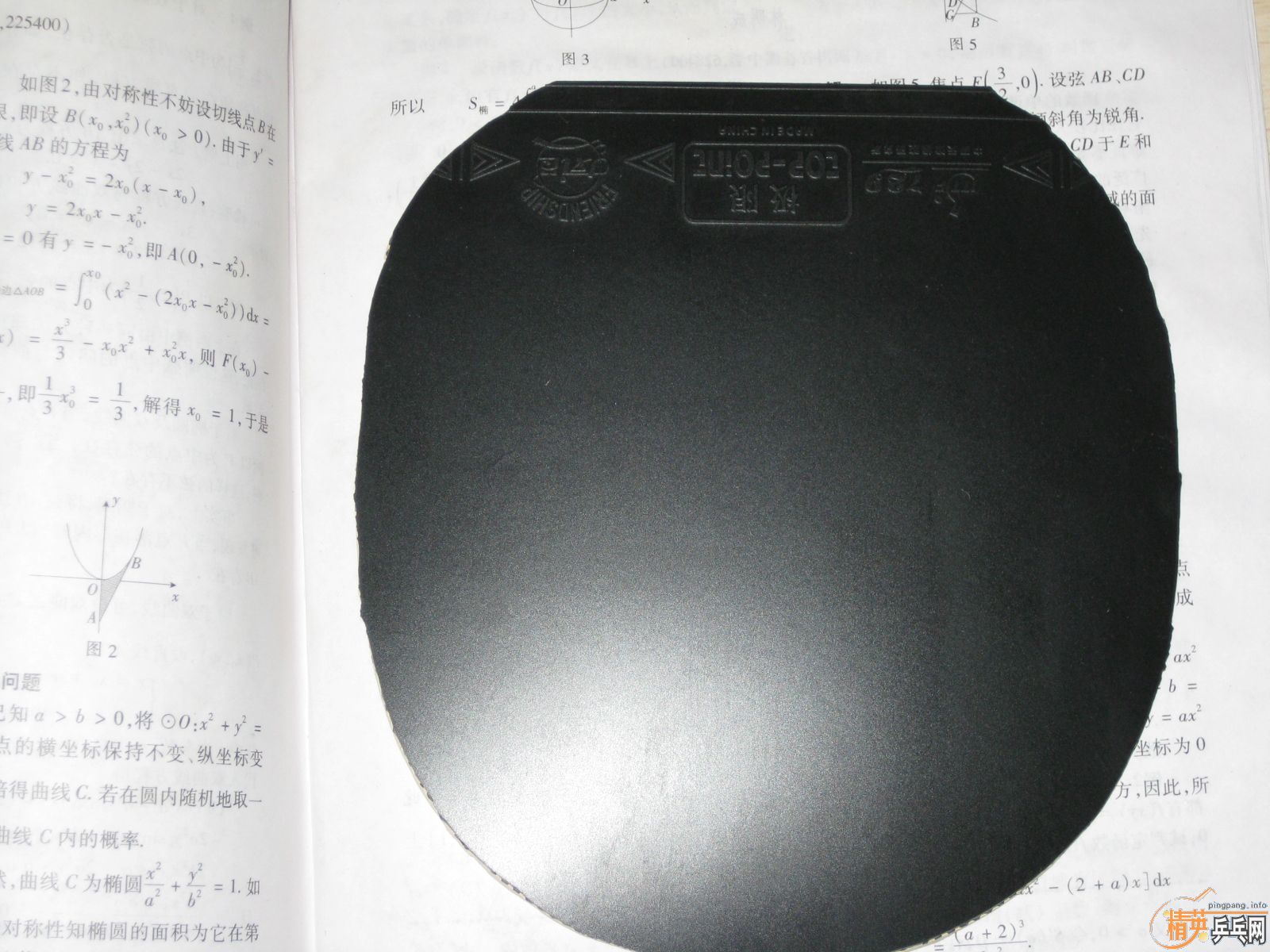 �� 9.9���� 729top-point���ޣ����ޣ��׽�������