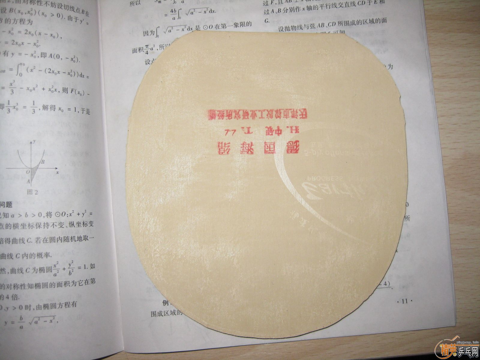 �� 9.9���� 729top-point���ޣ����ޣ��׽�������