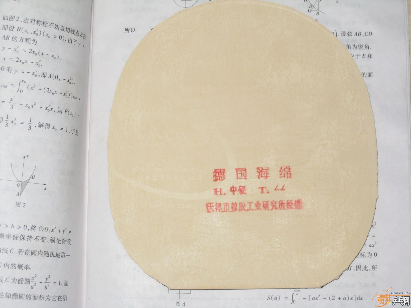 �� 9.9���� 729top-point���ޣ����ޣ��׽�������