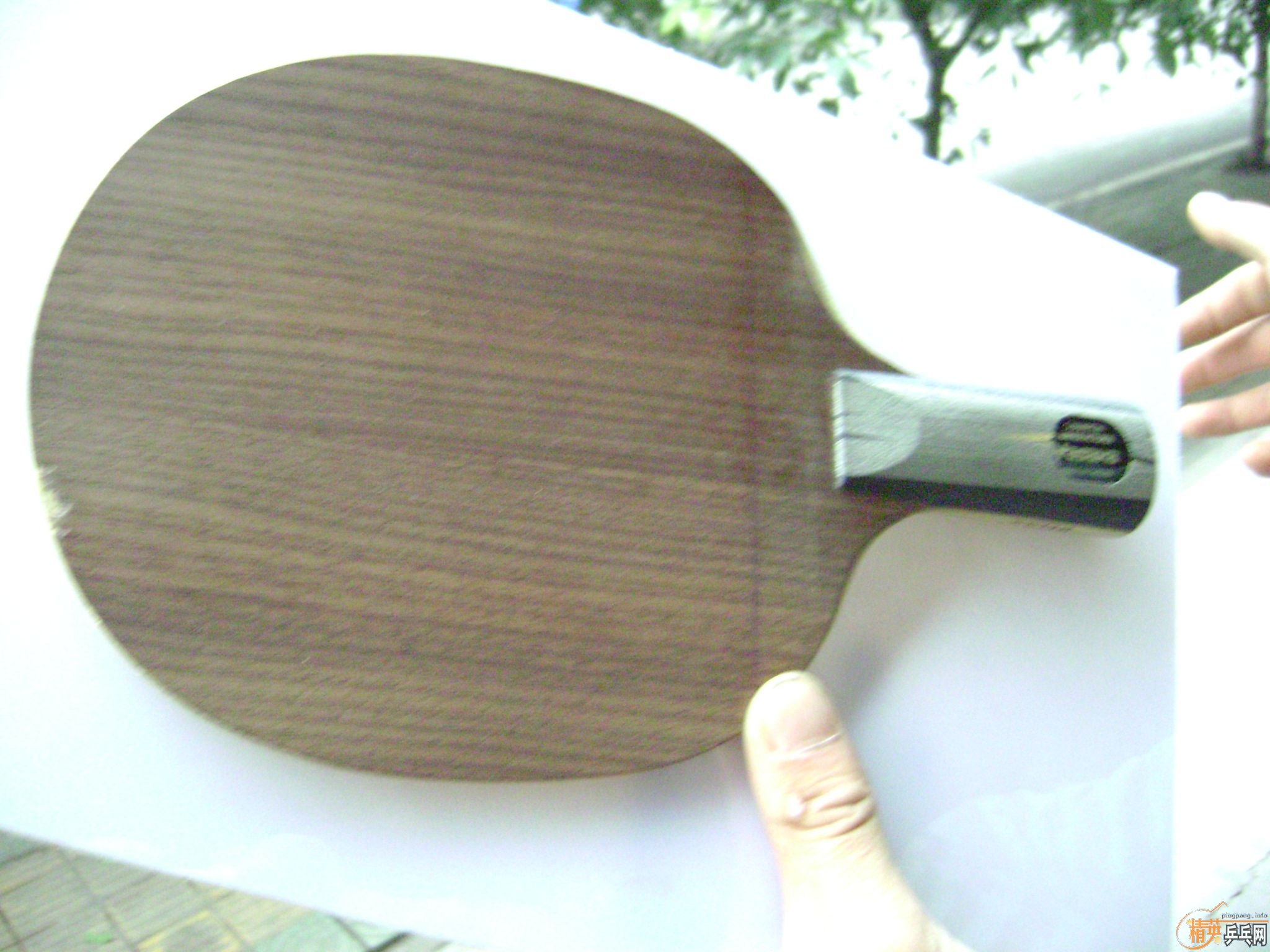 ��л����֤���������ط�150������YEO��ͼƬ