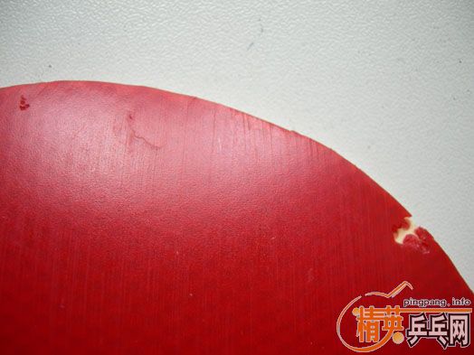 ��������ֽ�Ƥ������450������T05��������FUSION��