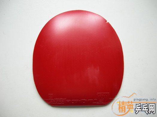 ��������ֽ�Ƥ������450������T05��������FUSION��