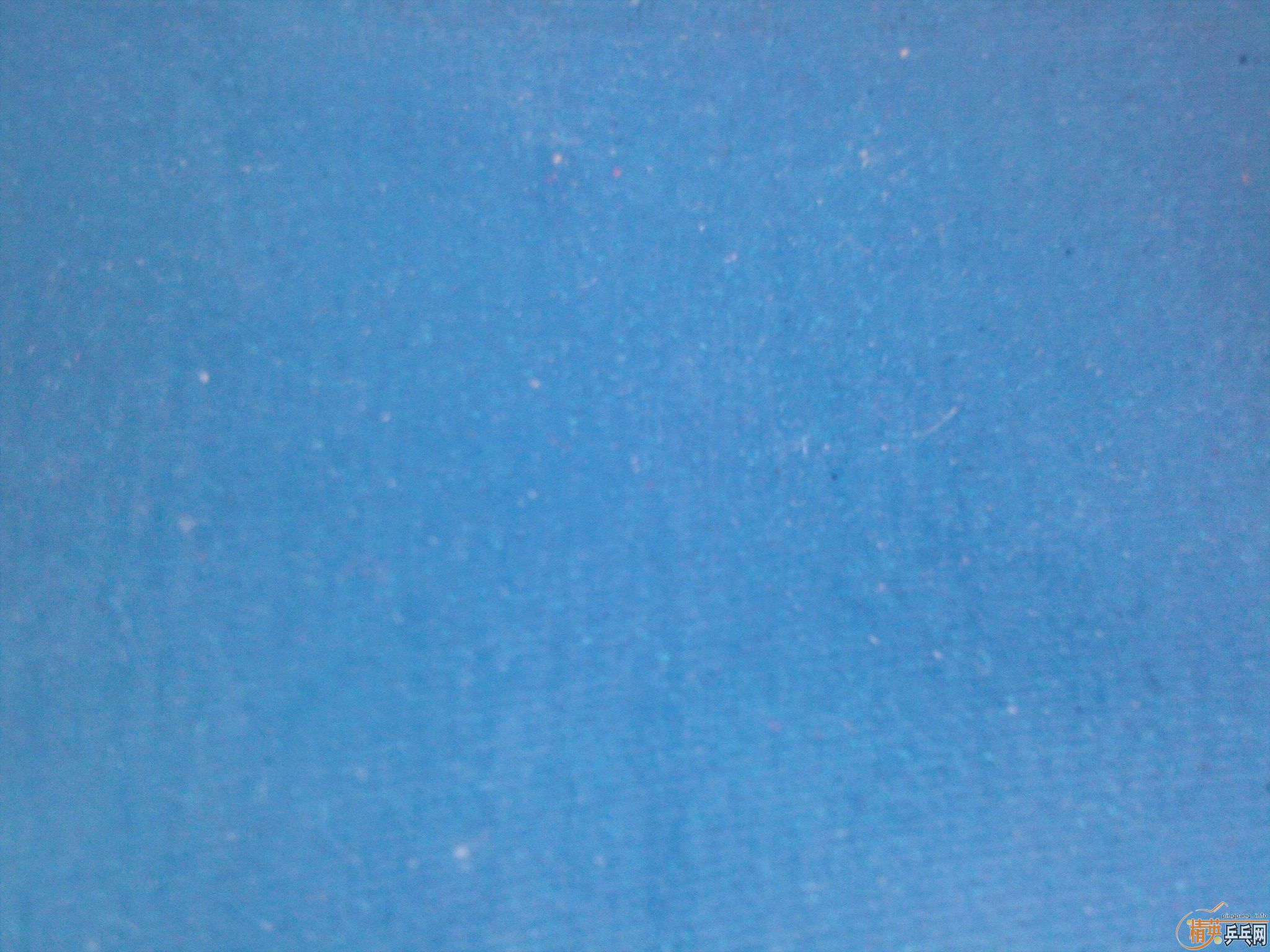 �׽�F1--�տ���39 40 41--�켫��39----200-->��������ת��