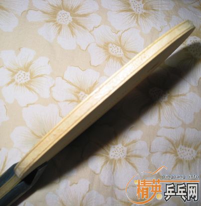 ��2�����:����PHOTINO��NITTAKU����