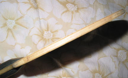 ��2�����:����PHOTINO��NITTAKU����