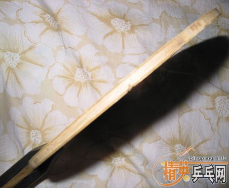 ��2�����:����PHOTINO��NITTAKU����