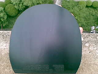 49���տ��ɫ ������� ���κ�ë��