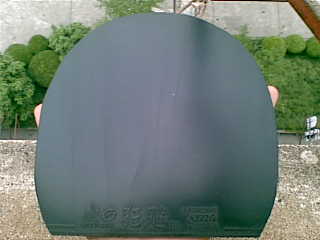 49���տ��ɫ ������� ���κ�ë��