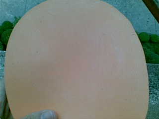 49���տ��ɫ ������� ���κ�ë��