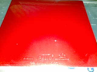 49���տ��ɫ ������� ���κ�ë��