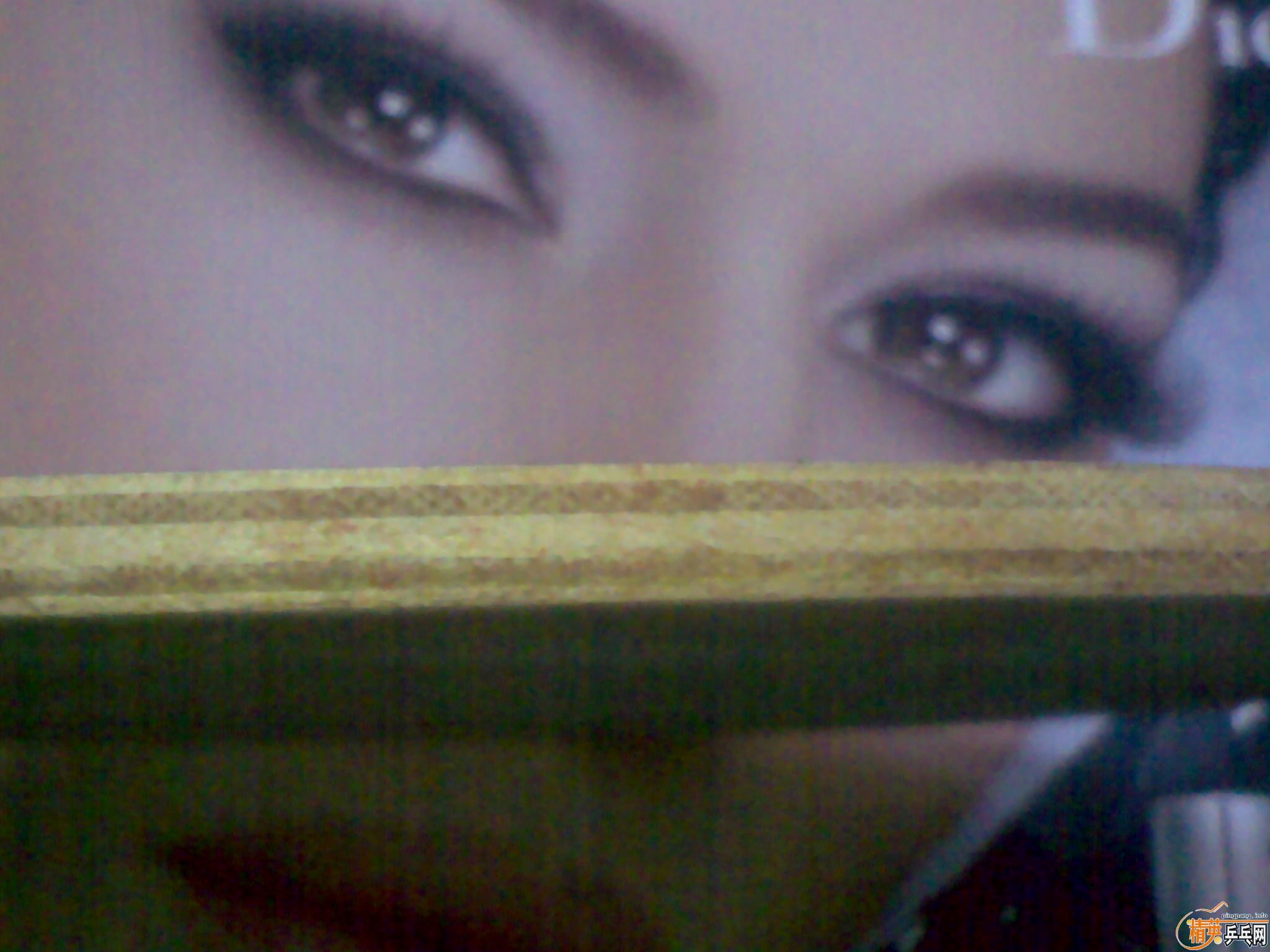 Ϊ��Ҵ�Ǯ�������ӻ��죬Ti5.4,��Joola,3com��Ʒ����