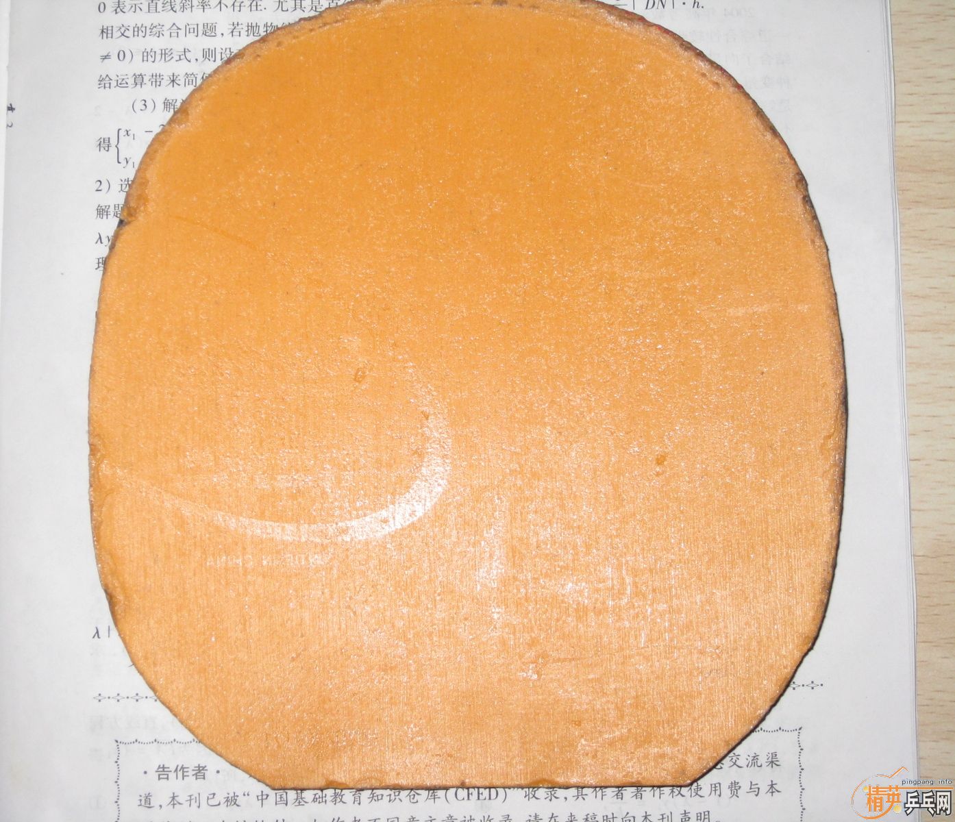 [�Ƽ�] 9.9���� 729hight-point�����ޣ��׽�+6�ɺ�ɫ�켫�������������Ѫ�ۣ�