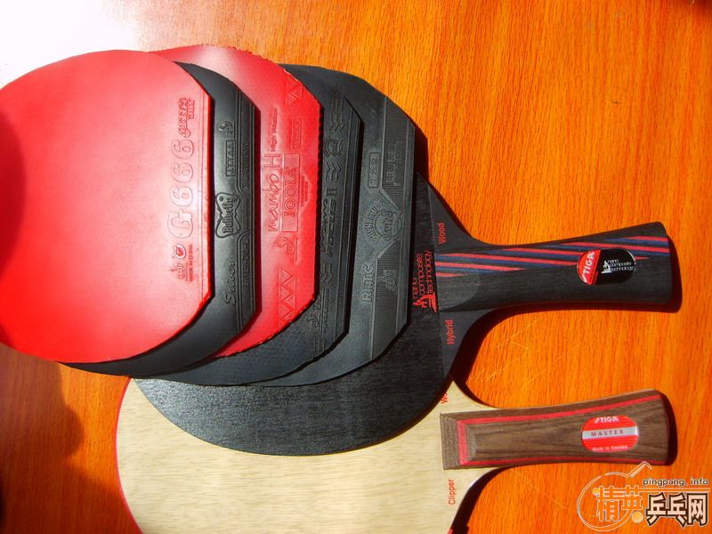 95��FL������̼��+95���л�CL+SRIVER+Mambo��