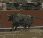 ʵǼΨһ׼