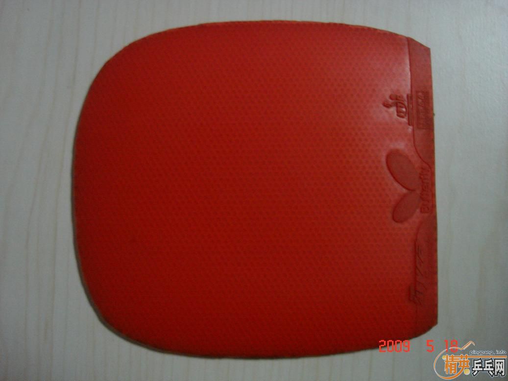 ���������SPEED�׽�����