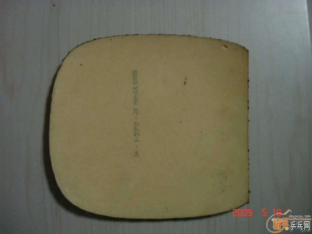 ���������SPEED�׽�����