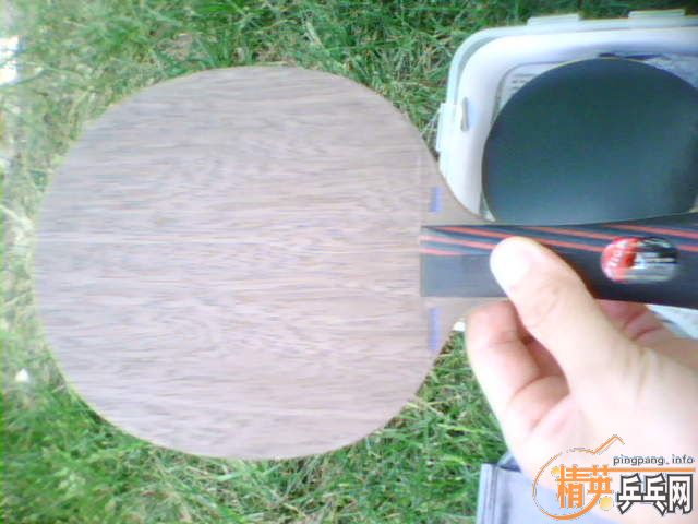 ֧�������л�����OC FL  �����