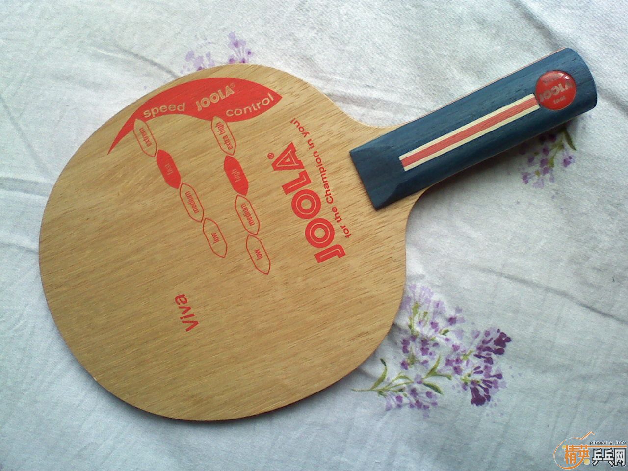 ############��JOOLA   VIVA       DHS  H_������   ȫ�Ǻ�� ########