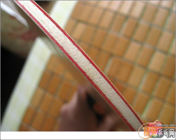 ��banda orion carbon��gemini��tibhar ��ķ������ premium contact